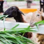 探索电竞的无限精彩 - 旺财28yunnuo